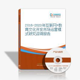 2016-2021年中國互聯(lián)網(wǎng)+教育文化開發(fā)市場運營模式深度研究報告 聚焦教育咨詢服務